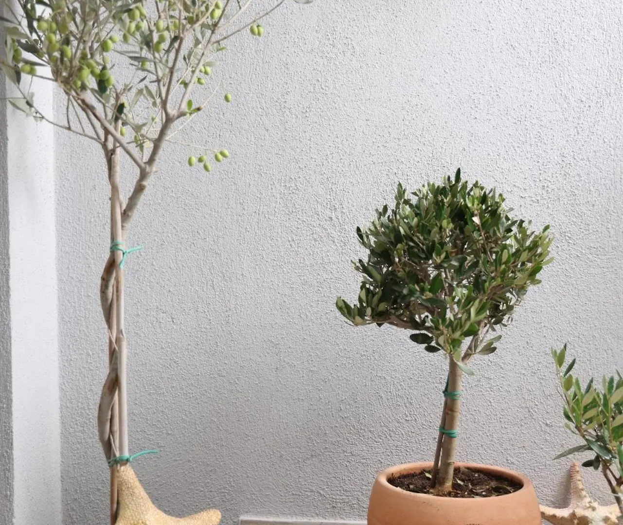 Milou 40 Downtown Apartment Thessaloniki